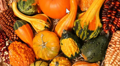 holidays availability